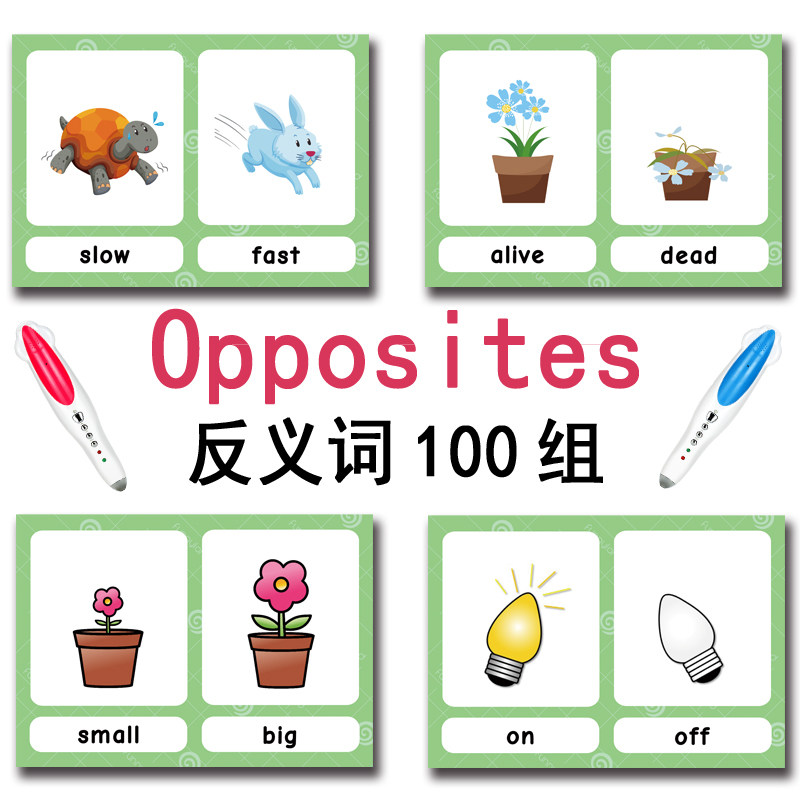 100 cartes mémoire sur les gro - Card Game Kids avis et prix
