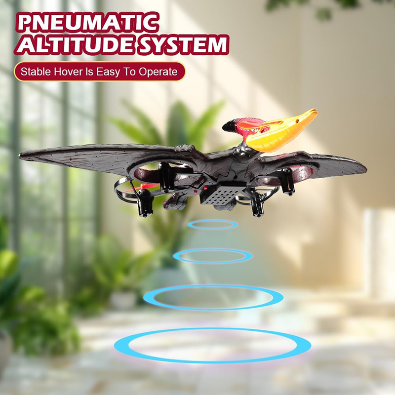 Avion RC ptérosaure 2.4G 6 axe - Kids Toys Under $10 avis et prix