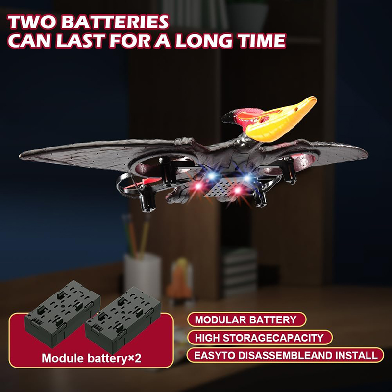 Avion RC ptérosaure 2.4G 6 axe - Kids Toys Under $10 avis et prix